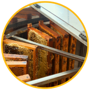 Shop Extracting & Bottling supplies