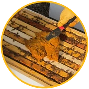 Shop Fall Honeybee Feed