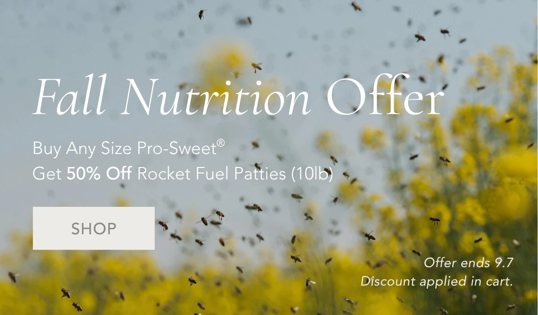 Queen Bee Sale