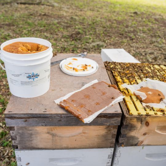 Shop Winter Honeybee Feed supplies