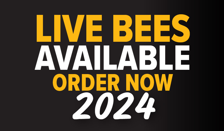 Live Bees Available