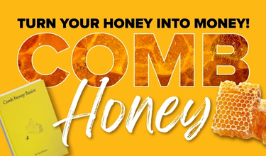 Turn your Honey into Money!