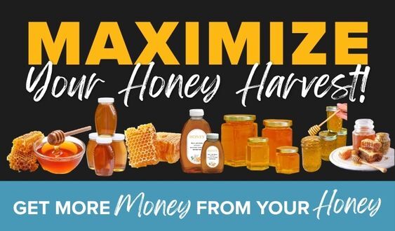Maximize Your Honey Harvest