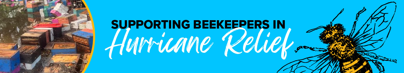 Supporting Beekeepers in Hurricane Relief