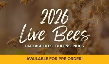 Pre-Order Live Bees