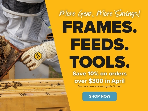 Save 10% on $300 in April Only!
