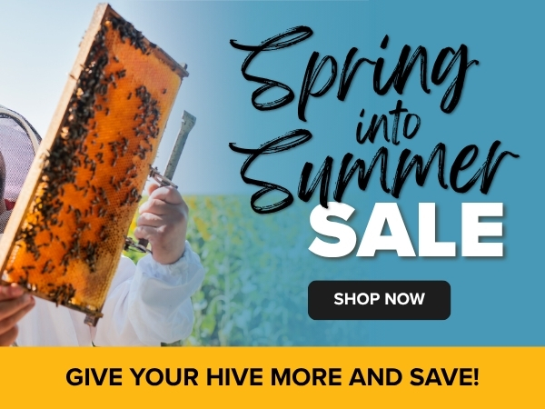 Spring Into Summer