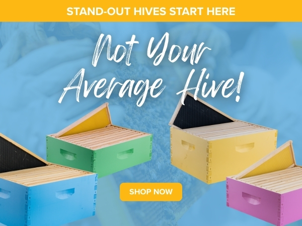 New Color Hive Kit Collection!