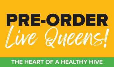 Pre-Order Live Queens Today