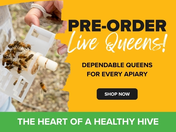 Pre-order Live Queens
