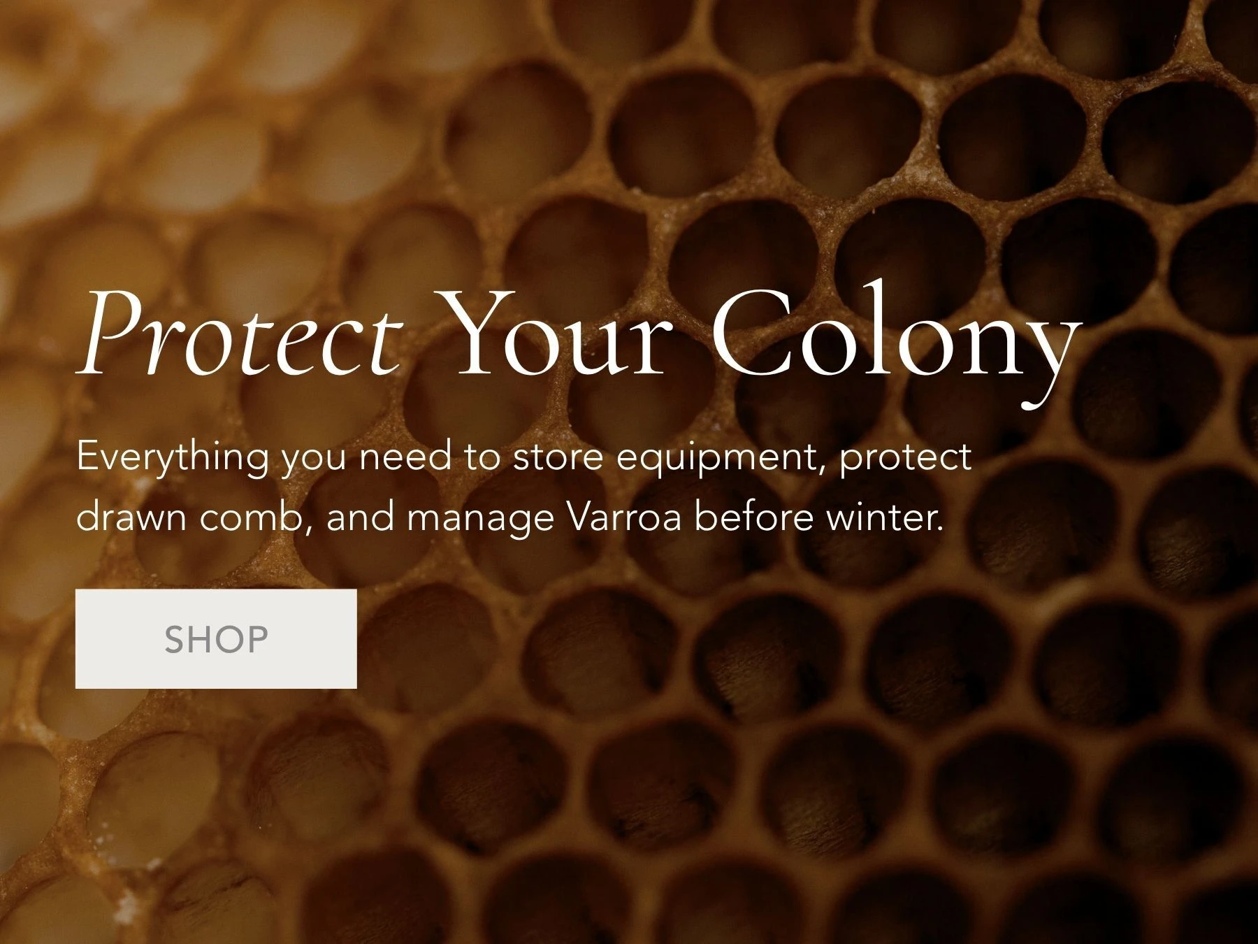 Queen Bee Sale