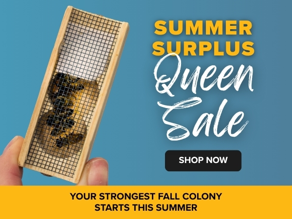 Summer Surplus Queen Sale!