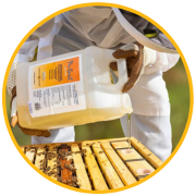 Shop Summer Honeybee Feed