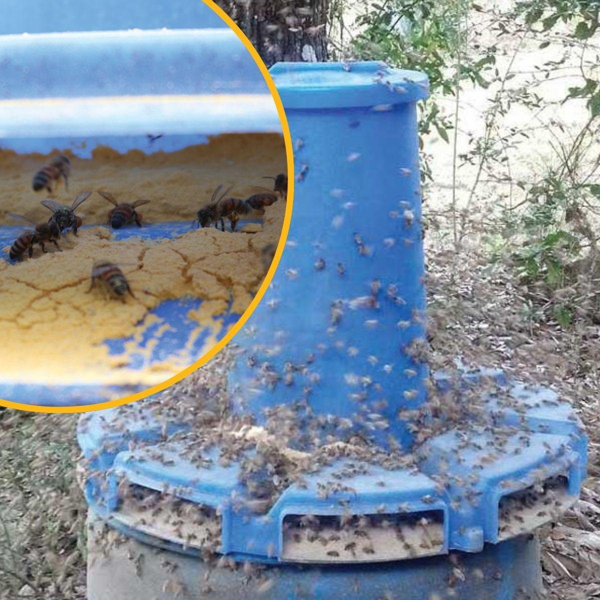 【正規品】Bibiy. HONEY BEE TOP ブルー Dry Bee-Pro Feeder | Mann Lake Ltd.