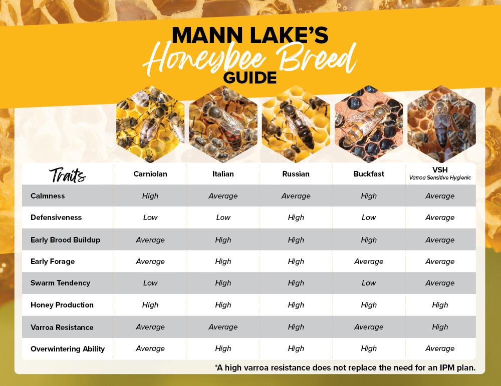 4 Frame Italian Nuc - Hackensack, MN - Pickup Only | Mann Lake Ltd.