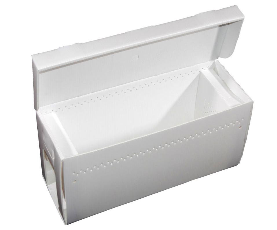 Jester EZ Nuc Box - 5 Frame - Corrugated Plastic | Mann Lake
