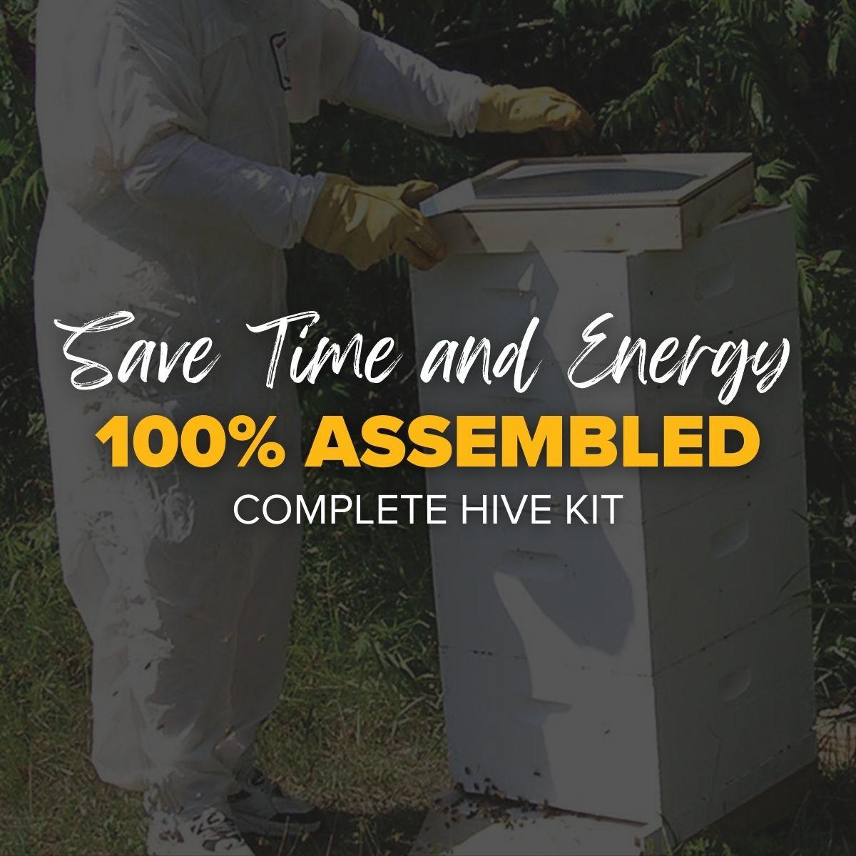My Next Hive, Assembled