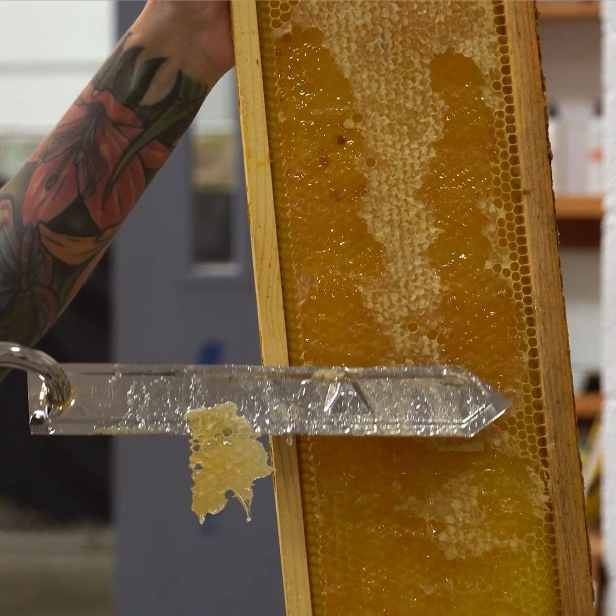 Rite-Cell Hive Frames with Wax Foundation | Mann Lake