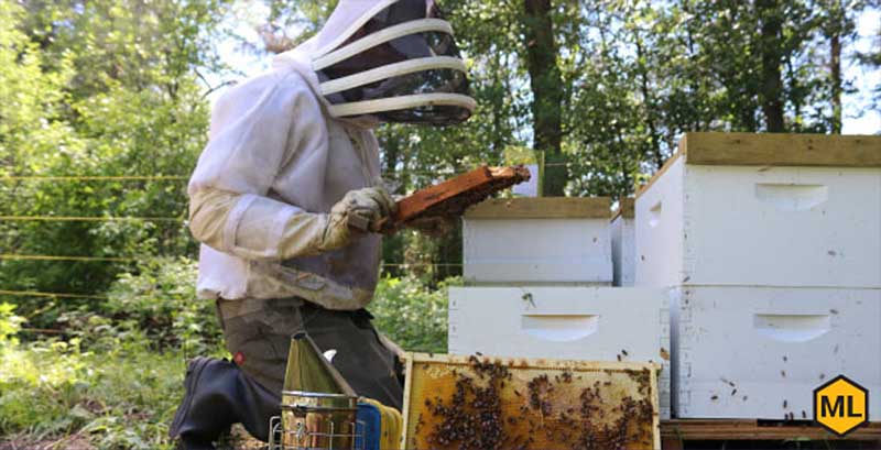 8 Things To Know AboutBeekeeper Suits