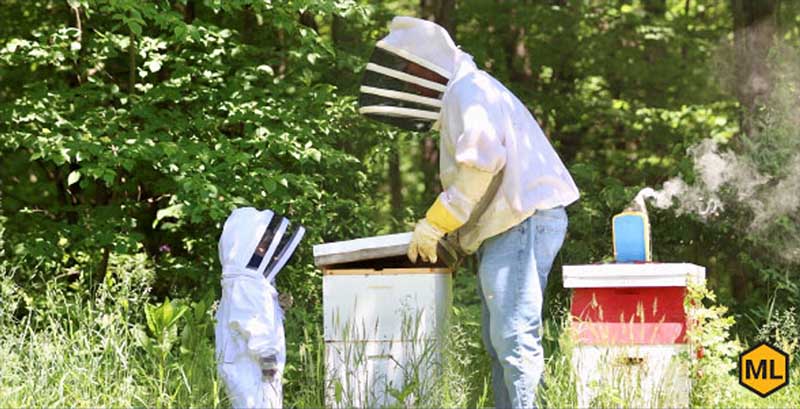 Ohio Beekeepers Find Different Ways to Get Hives Through the