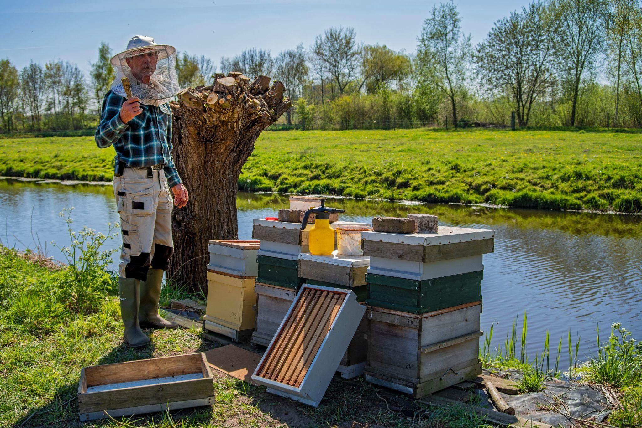 I. Introduction to Beekeeping as Therapy and Wellness