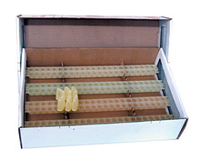 Mini-Mating Nucs for Sale | Built-in Feeder & Excluder