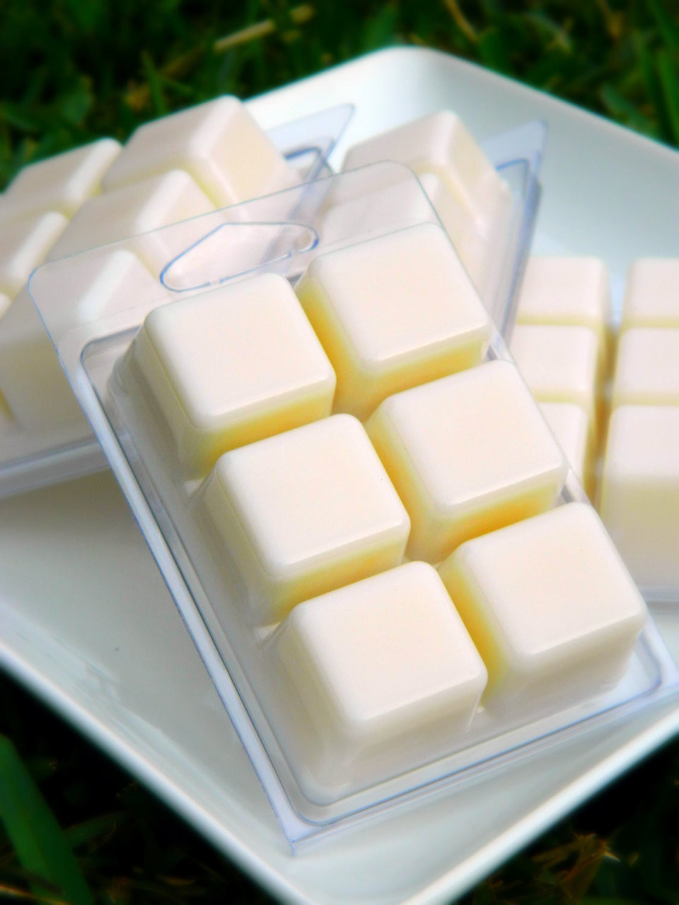 Natural Gardenia Soy Wax Melts