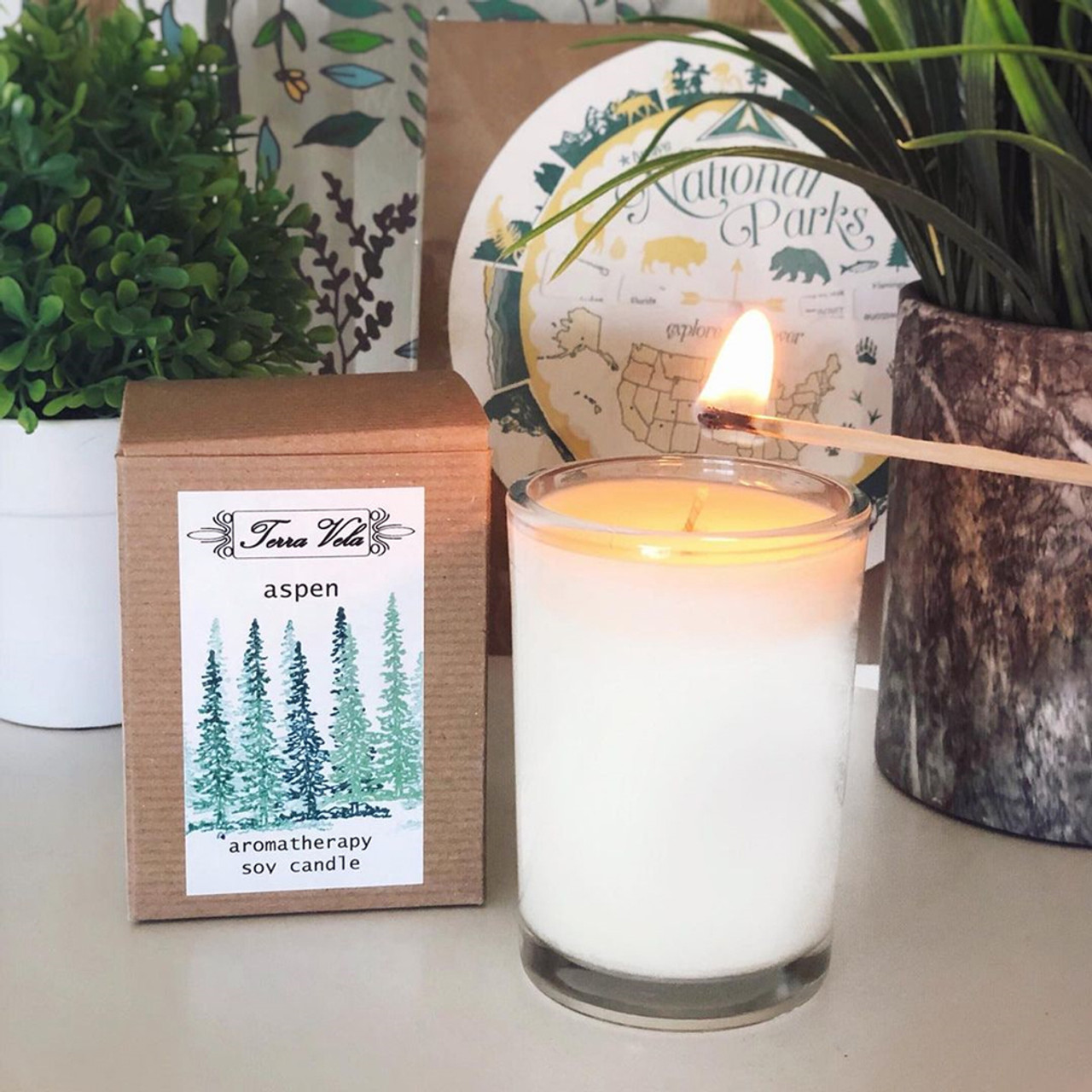 Aspen Soy Candle