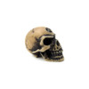 Alchemy England Lapillus Worry Skull