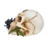 Black Rose Alchemist Skull