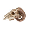 Alchemy England Scrimshaw Ram Skull