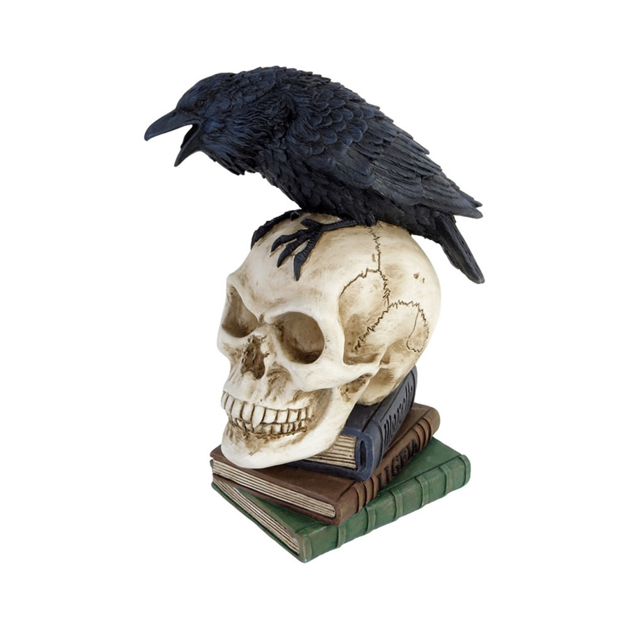 Poe's Raven Skull