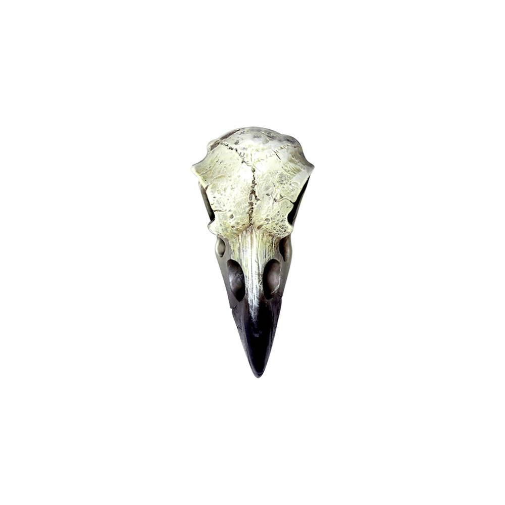 Raven Skull Small | Alchemy Gothic Halsketting