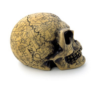 V1 - Omega Skull