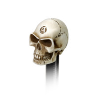 V40 - Bone Colored Skull Paperweight