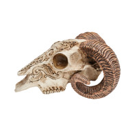 V53 - Scrimshaw Ram Skull
