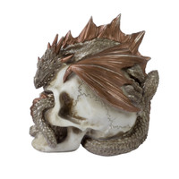 V72 - Dragon Keeper's Skull
