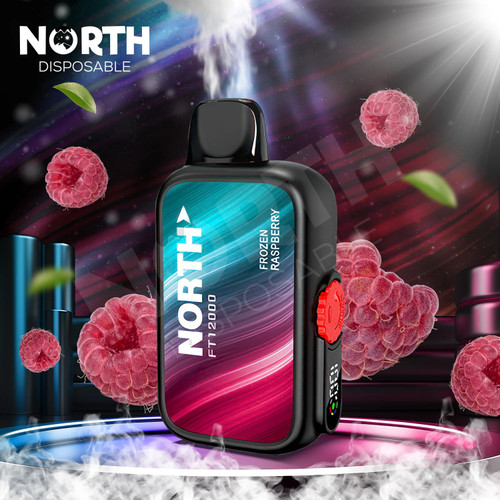 North FT12000 15ML 12000 Puffs Disposable - Frozen Raspberry Lemonade