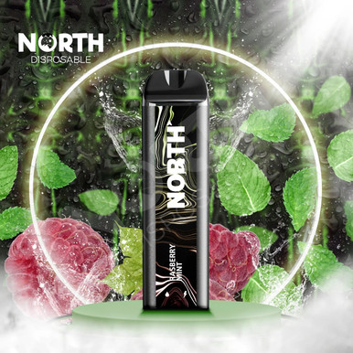 Raspberry Mint - North 5000 Disposable