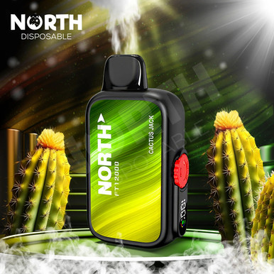 North FT12000 15ML 12000 Puffs Disposable