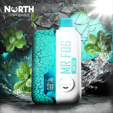 Mr Fog Switch SW15000 - Classic Mint Ice Mr Fog Switch SW15000 - Classic Mint Ice