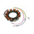 Mercury Mariner Outboard Stator (2 Cylinder) - View 5