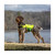 Rapid-Dry Dog Life Vest (Green, Medium) - View 4