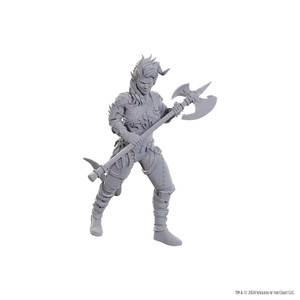 Unpainted NPC BG3 Wyll & Karlach NM 96367