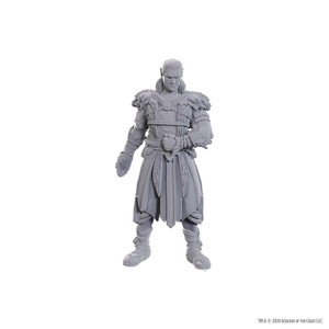Unpainted NPC BG3 Jaheira & Halsin NM 96368