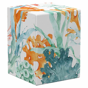 UG Boulder Deck Case 100ct Coral Places Coralline Eden
