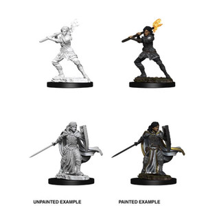 Unpainted PC Human Paladin Female NM 73830