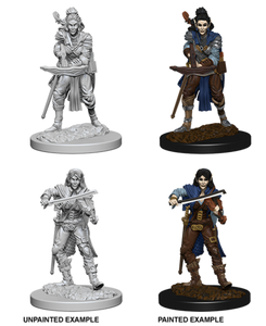 Unpainted PC Elf Bard Female DC 72611