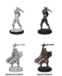 Unpainted PC Human Paladin Male NM 90060