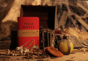 5.5E Character Journals 2-Pack Field Notes